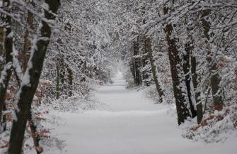 "NordWest" Ferienwohnung - Foto 22