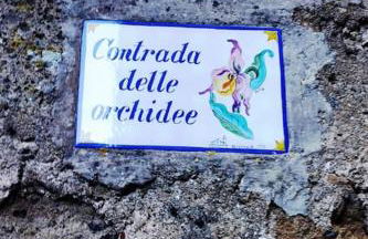 La Casina di Tiro - Foto 7