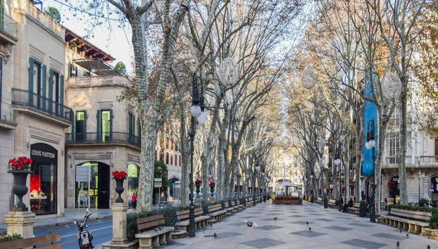 Palma de Mallorca y Valldemossa - Tour de un día entero - Foto 4