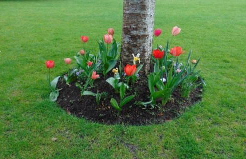 Uphill Manor - Foto 33