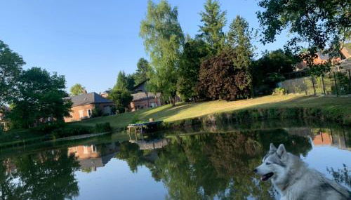 La parenthèse verte - Foto 2