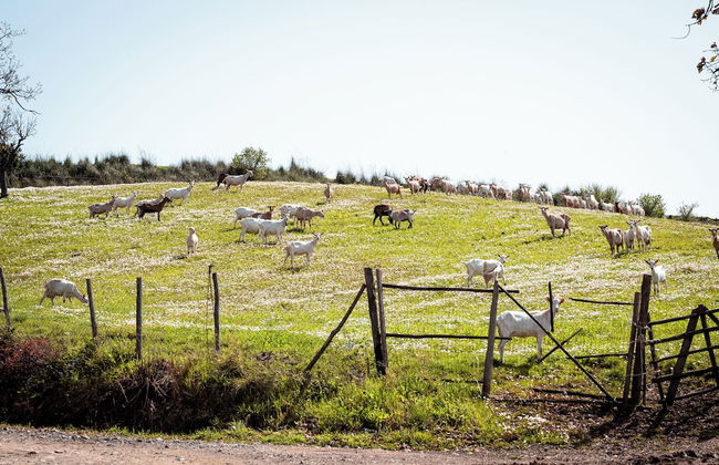 agriturismo i moresani - Photo 71
