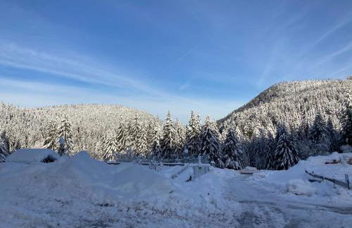Le Perchoir du Grand Valtin - Gîte 5 personnes - Altitude 830 - Foto 32