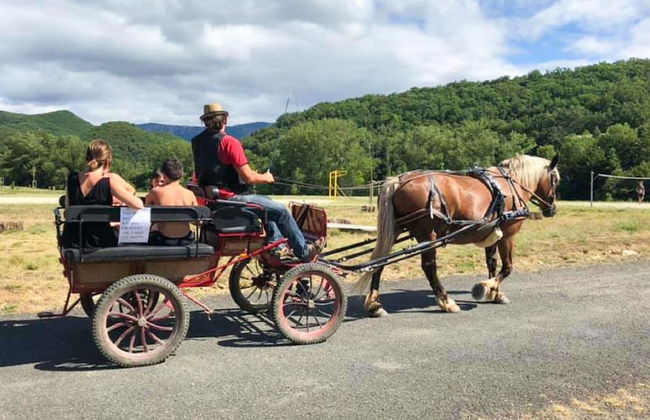 Pet-friendly Home w/ Garden - Foto 16