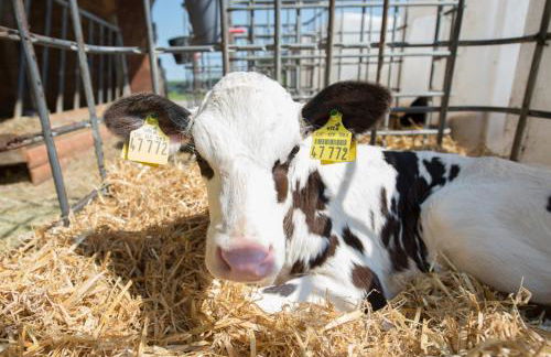 Huxfeld-Hof - Landlust - Foto 23