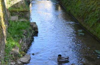 Gîte de charme proche du Zoo Beauval et Châteaux - Photo 40