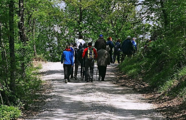 Bio Agriturismo La Cerqua - Foto 71