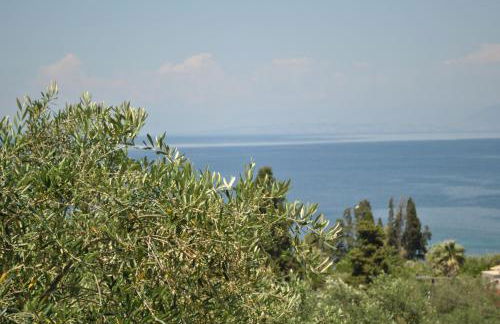 Hotel Helios Splendid - Foto 51