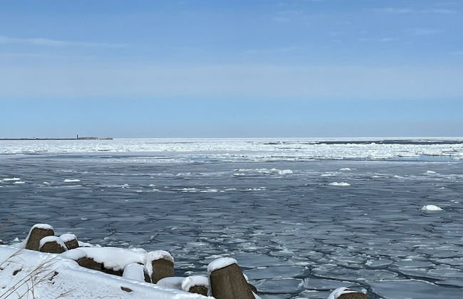 THE VILLA ABASHIRI - Foto 72