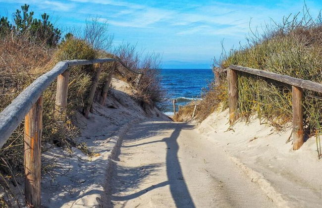 Wooden Summer Houses, Bobolin - Photo 15