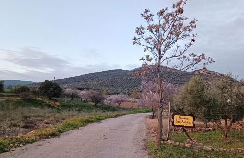 Cabaña Rural ¨La Huerta de los Serijos¨ - Foto 13