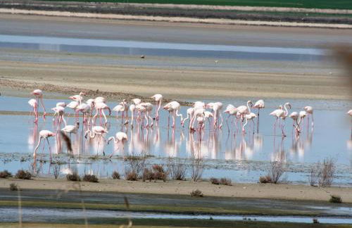 Andalusian Countryside Stay - Foto 22