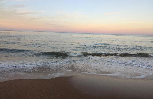 Beautiful Ormond Beachfront House! - Photo 1