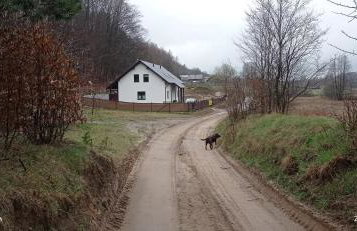 Kaszuby Punkt Klonowo Przywidz sauna klima basen - Foto 9