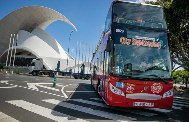 Visite de la ville Santa Cruz de Tenerife - Circuit en bus à arrêts multiples - Photo 7