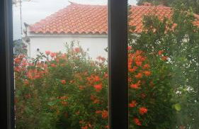 Window To The Aegean - Foto 24