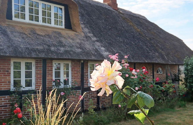 6 Person Holiday Home in Guldborg - Foto 34