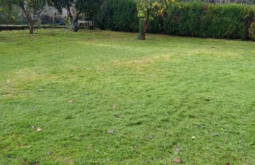 Casa dos Gémeos - Foto 7