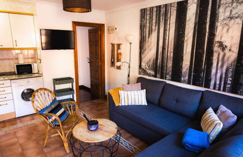 Apartamentos Nevandi - Photo 69