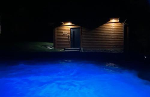 Leśne Zacisze Iwkowa - Photo 10