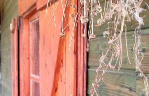 Agroturystyka Zielony Domek - Apartament na wyłączność, slow life, staw, oswojone zwierzęta gospodarskie, posiłki z własnych eko produktów - Foto 16