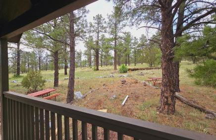 Cozy Cabin By Forest View 4B - Foto 14