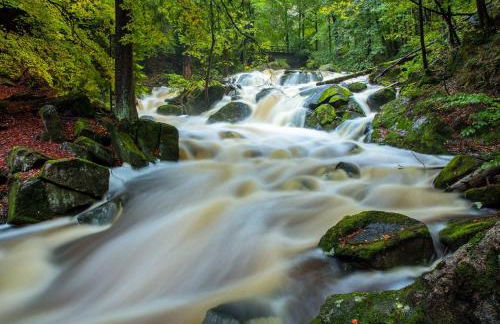 Haus Ilsegarten - Foto 24