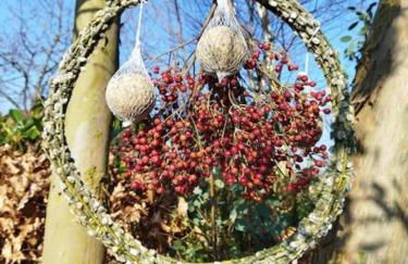 Sweet home No 3 Ferienwohnung Apartment - Foto 17