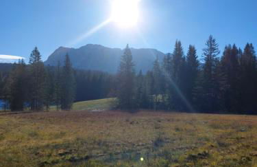 Haus Sonnenruh - Foto 26