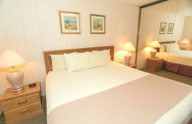 The Grey Gull - Foto 30