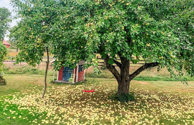 4 Person Holiday Home in Hallstavik - Foto 23