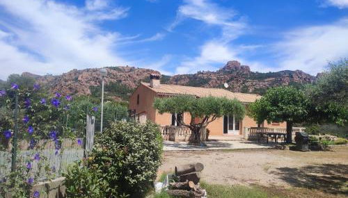 villa Esterel calme et proche de la mer,VTT et randonnées - Foto 2, Garden