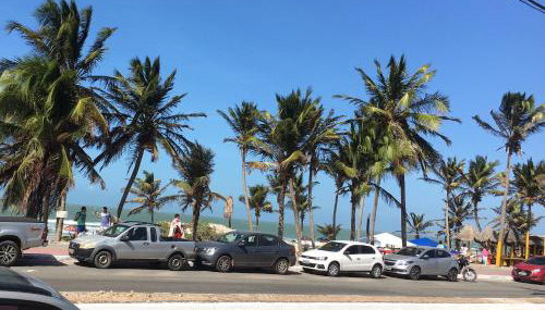 Roma Garden - Foto 1