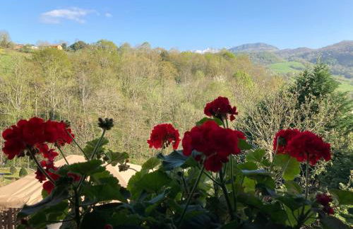 Casa Elena Cangas de Onis con WiFi y parking gratuito - Foto 41