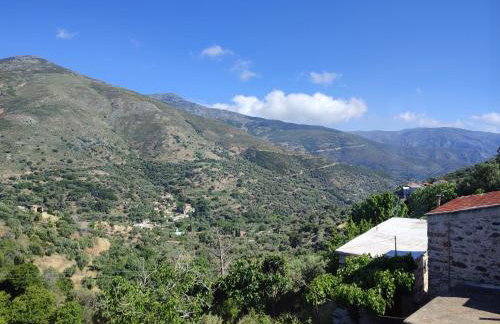 Grandma Agatha & Virginia's stonehouse - Foto 26