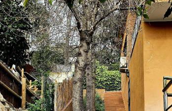 Cal Nene - plamun es - Foto 22