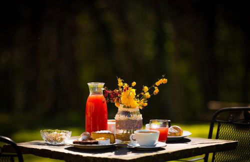 Tenuta Risalpiano - Foto 16