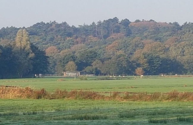 Holiday Home Ecolodge The Pearl - Foto 15