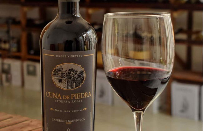 Dégustation de fromages et de vins à Colonia del Sacramento - Photo 7