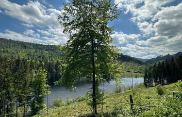 Ferienwohnung Waldblick - Foto 16