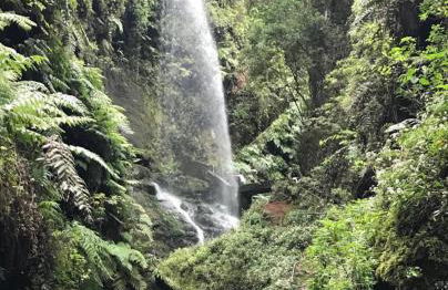 VV Casa Carmela Talavera - Foto 16