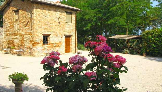 Agriturismo Santa Margherita - Foto 3, Rezeption