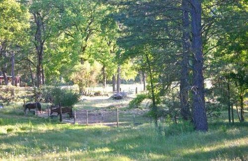 Little Red Caboose - Foto 5