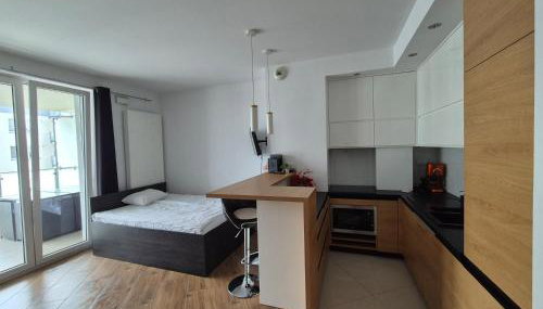 Apartament Golden Flight - Foto 4, stove, minibar