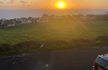 Green Tropical House - Photo 11