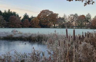 The Granary Stradbroke - Foto 27