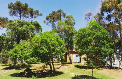 Cabanas dos Pinheiros - Foto 10