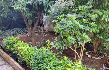 La casa di Ulisse - Foto 10