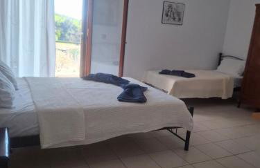 Agnanti Kotsikia - Foto 15