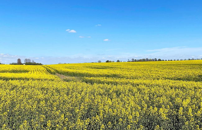 6 Person Holiday Home in Hjarnarp - Foto 11